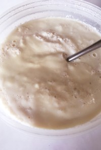 自家製 豆乳ヨーグルト