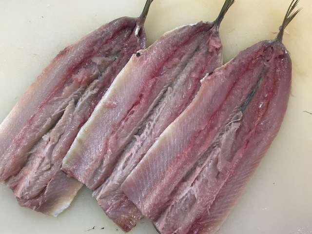 いわし 手開き みんなが作ってる いわし 手開きのレシピ クックパッド 簡単おいしいみんなのレシピが335万品