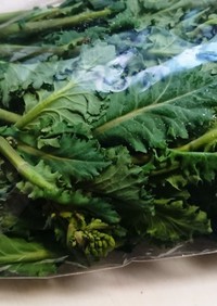 葉物野菜を簡単に袋から出す方法
