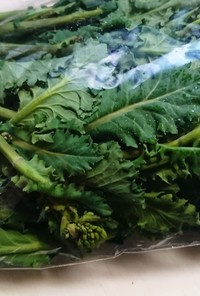 葉物野菜を簡単に袋から出す方法