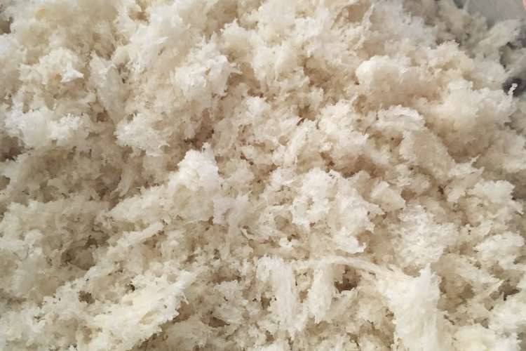 スリンク 重さ 永遠に 冷凍 食パン パン粉 Lifestep Jp