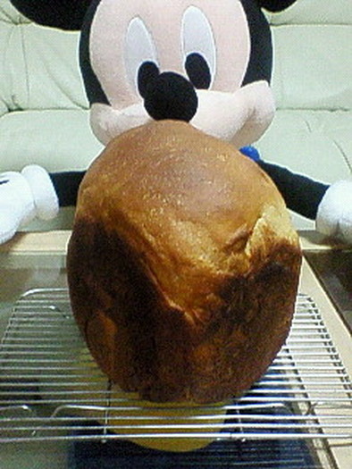 ヨーグルト食パンの写真