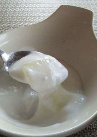 アロエベラのヨーグルト