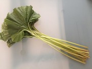 【野菜ソムリエ】ふきの下茹での写真