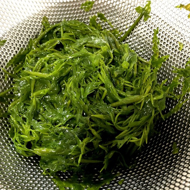 アカモクの下準備 レシピ 作り方 By Mini子の料理教室 クックパッド 簡単おいしいみんなのレシピが361万品