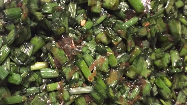 あさつきの醤油漬 レシピ 作り方 By まろまろま クックパッド 簡単おいしいみんなのレシピが352万品 あさつきの醤油漬 レシピ 作り方 By まろまろま クックパッド 簡単おいしいみんなのレシピが352万品