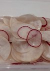 即席☆こかぶとラディッシュの紅白お漬け物
