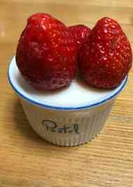 みんなが作ってる カルピス原液 ヨーグルトのレシピ クックパッド 簡単おいしいみんなのレシピが341万品