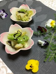 <作り置き>春キャベツと塩こんぶのナムルの写真