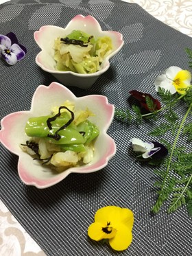 <作り置き>春キャベツと塩こんぶのナムル