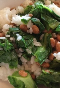納豆と白菜の芯芽のマヨまぜご飯