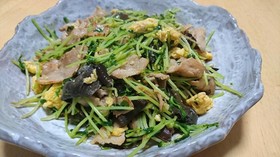 豆苗の中華炒め≦ФωФ≧