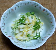 長芋とかいわれ菜の生からすみ和えの写真