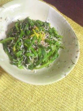 ほうれん草おひたし(柚子、ごま、じゃこ)