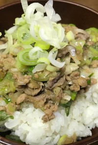 ひき肉と長ネギの甘辛丼 with レバー
