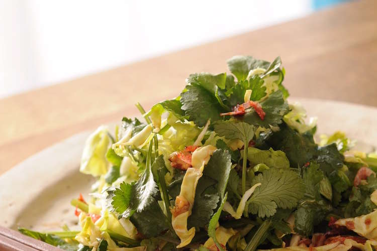 黒糖生姜パウダー使用 パクチーサラダ レシピ 作り方 By 奄美自然食本舗 クックパッド