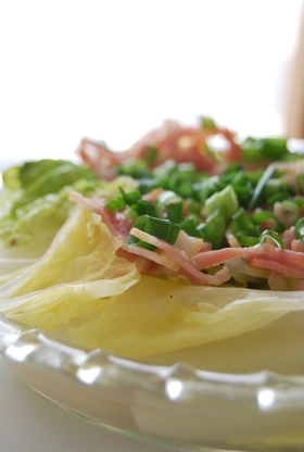 残りものの白菜で作る簡単15分レシピ