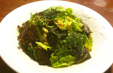 レッドマスタード（赤からし菜）のサラダの写真