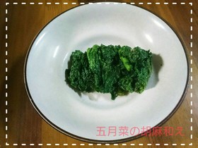 【田舎野菜】五月菜の胡麻和え