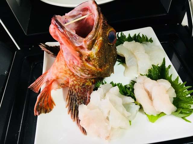 上 ガシラ 刺身 寄生虫 ガシラ 刺身 寄生虫 Irasujozkqj3