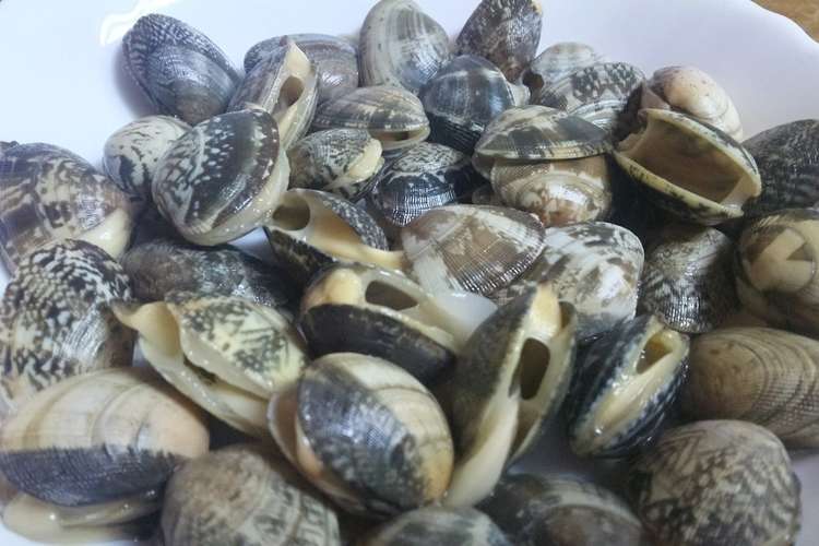 少量の海水でアサリの砂抜き レシピ 作り方 By たくまぷーすけ クックパッド 簡単おいしいみんなのレシピが364万品