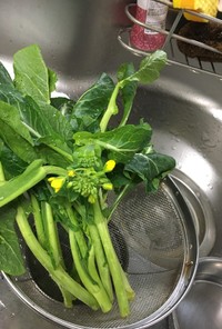 山形の春野菜「茎立菜の炒め物」