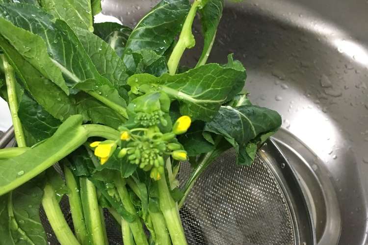 山形の春野菜 茎立菜の炒め物 レシピ 作り方 By シｪビィ クックパッド