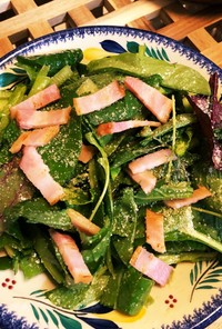 新鮮！生の小松菜サラダ