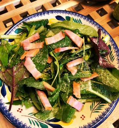 新鮮！生の小松菜サラダの写真