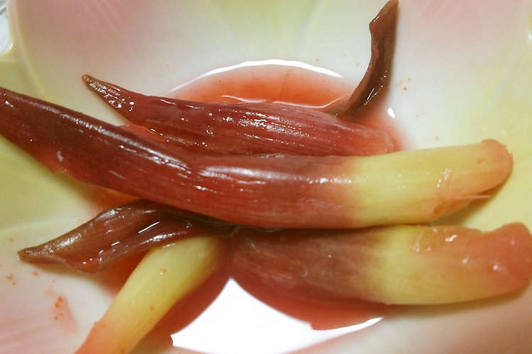茎みょうがの梅肉漬け レシピ 作り方 By たーぼのはは クックパッド 簡単おいしいみんなのレシピが367万品