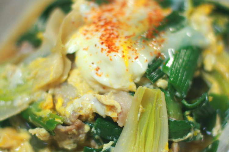 葉玉ねぎと豚肉の卵とじ煮 レシピ 作り方 By キャラメリーナ クックパッド 簡単おいしいみんなのレシピが354万品