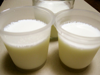 ゼライスで作る牛乳プリンの写真