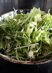 春のグリーンサラダ