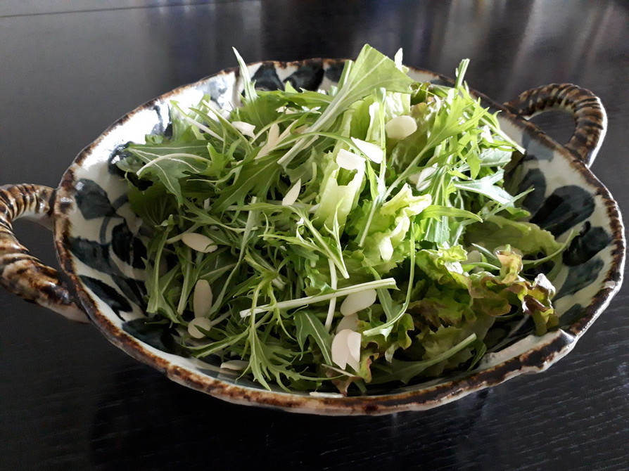 春のグリーンサラダの画像
