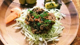 おいしいよ!高野豆腐でベジ肉みそ風