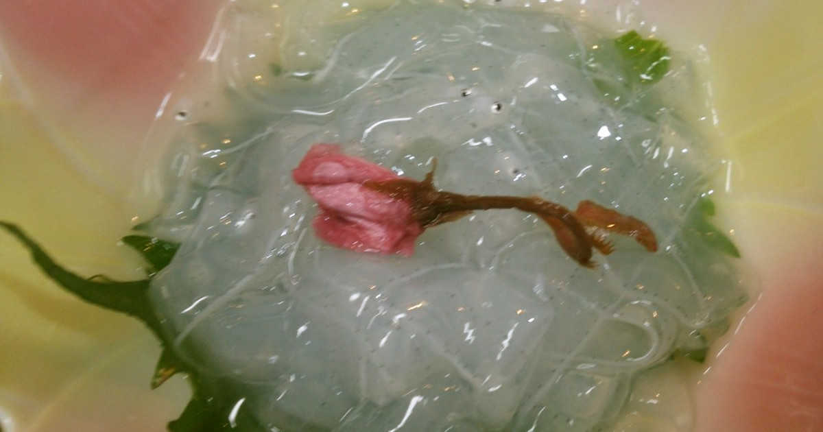 無料印刷可能アナゴ 稚魚 最高の花の画像 無料印刷可能アナゴ 稚魚 最高の花の画像