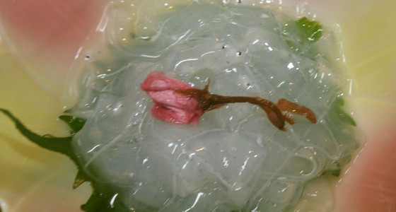 のれそれ アナゴの稚魚 の食べ方 レシピ 作り方 By たーぼのはは クックパッド 簡単おいしいみんなのレシピが375万品