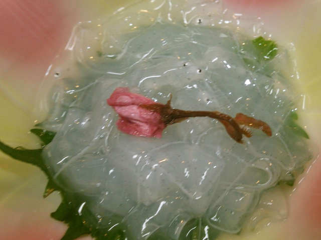 50 素晴らしい穴子 の 稚魚 最高の花の画像 50 素晴らしい穴子 の 稚魚 最高の花の画像