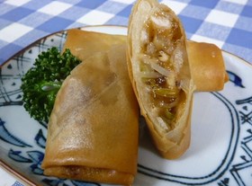 パリパリ☆ もやし春巻き