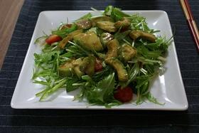 簡単♥アボカドと水菜のサラダ