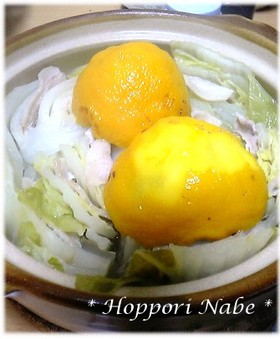 平野レミ'sホッポリ鍋☆土鍋風