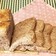 自家製天然酵母の胡桃入り全粒粉食パン