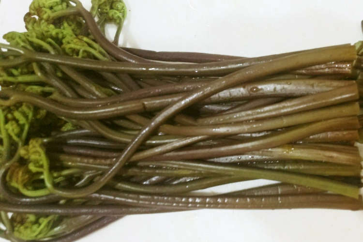 簡単塩と小麦粉でわらびのあくだし レシピ 作り方 By たーぼのはは クックパッド 簡単おいしいみんなのレシピが378万品