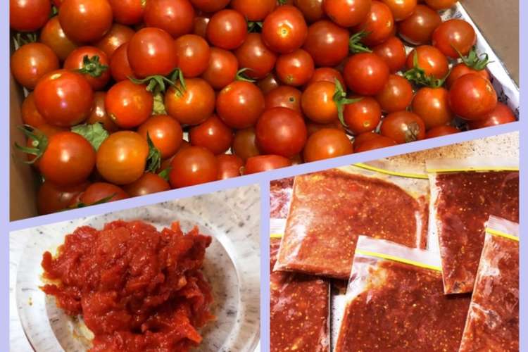 完熟トマトorミニトマトでトマトペースト レシピ 作り方 By ころんぴ クックパッド 簡単おいしいみんなのレシピが367万品