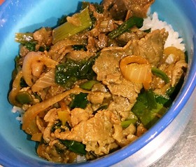 ネギたっぷり牛丼