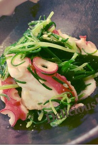 蛸とおかひじきのごまポン酢サラダ