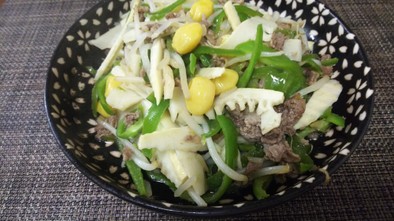 中華風・牛肉と野菜の細切り炒めの写真