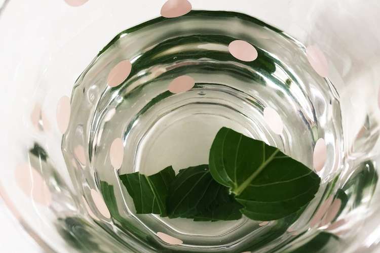 爽やか 花粉症にも アイスミントティー レシピ 作り方 By 菜緒 クックパッド 簡単おいしいみんなのレシピが367万品