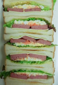 NOWハンバ—ガ—サンドイッチ