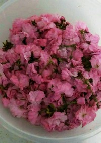 色んな料理に使える！桜の花漬け❀✿
